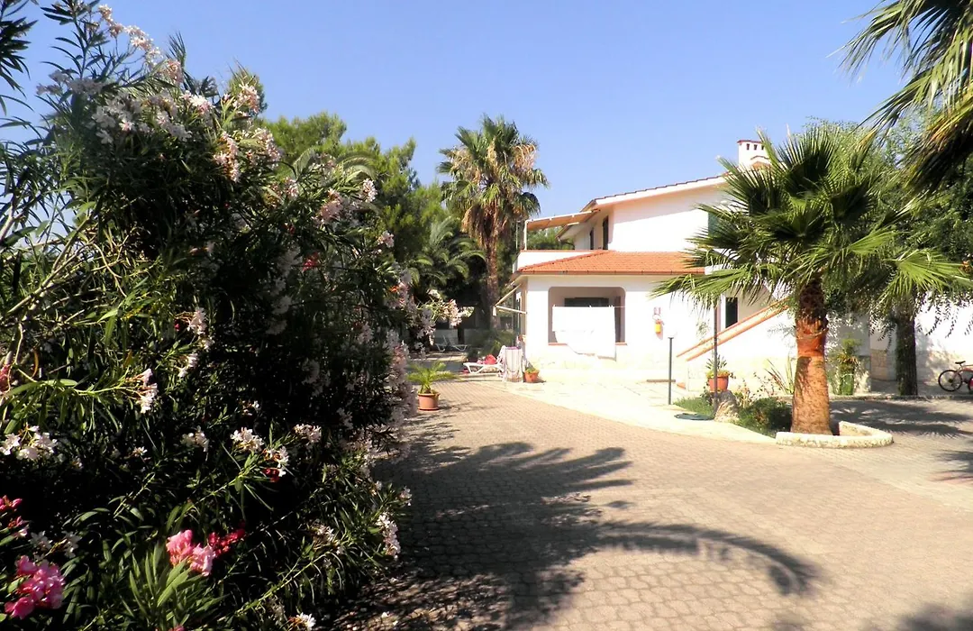 Residence Palm Garden-1