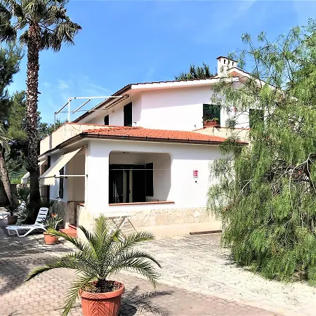 Residence Palm Garden-2